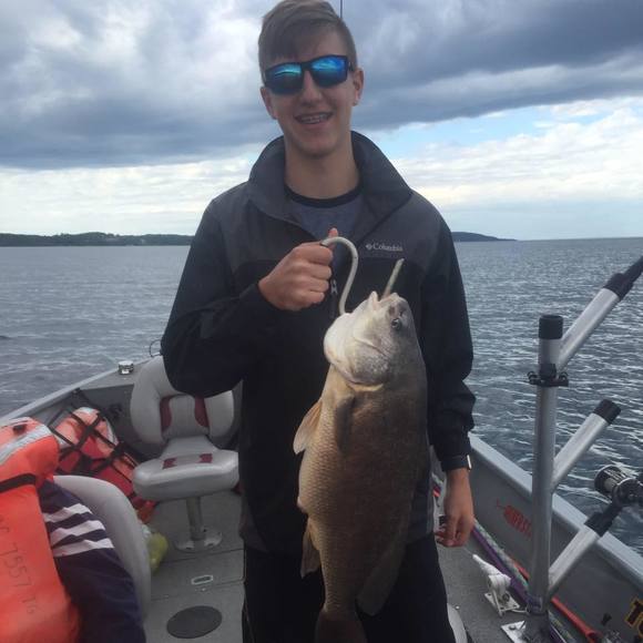 Meet your Posher, Neil - Picture 1 of 1